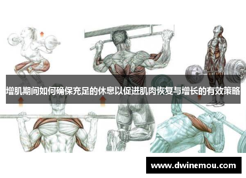 增肌期间如何确保充足的休息以促进肌肉恢复与增长的有效策略